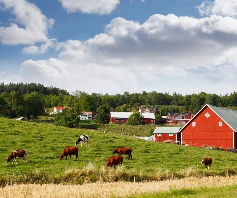 What Is Included in a Standard Farm Insurance Policy?